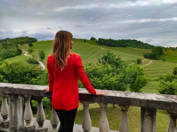 friuli colli orientali